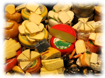 色々なチーズ